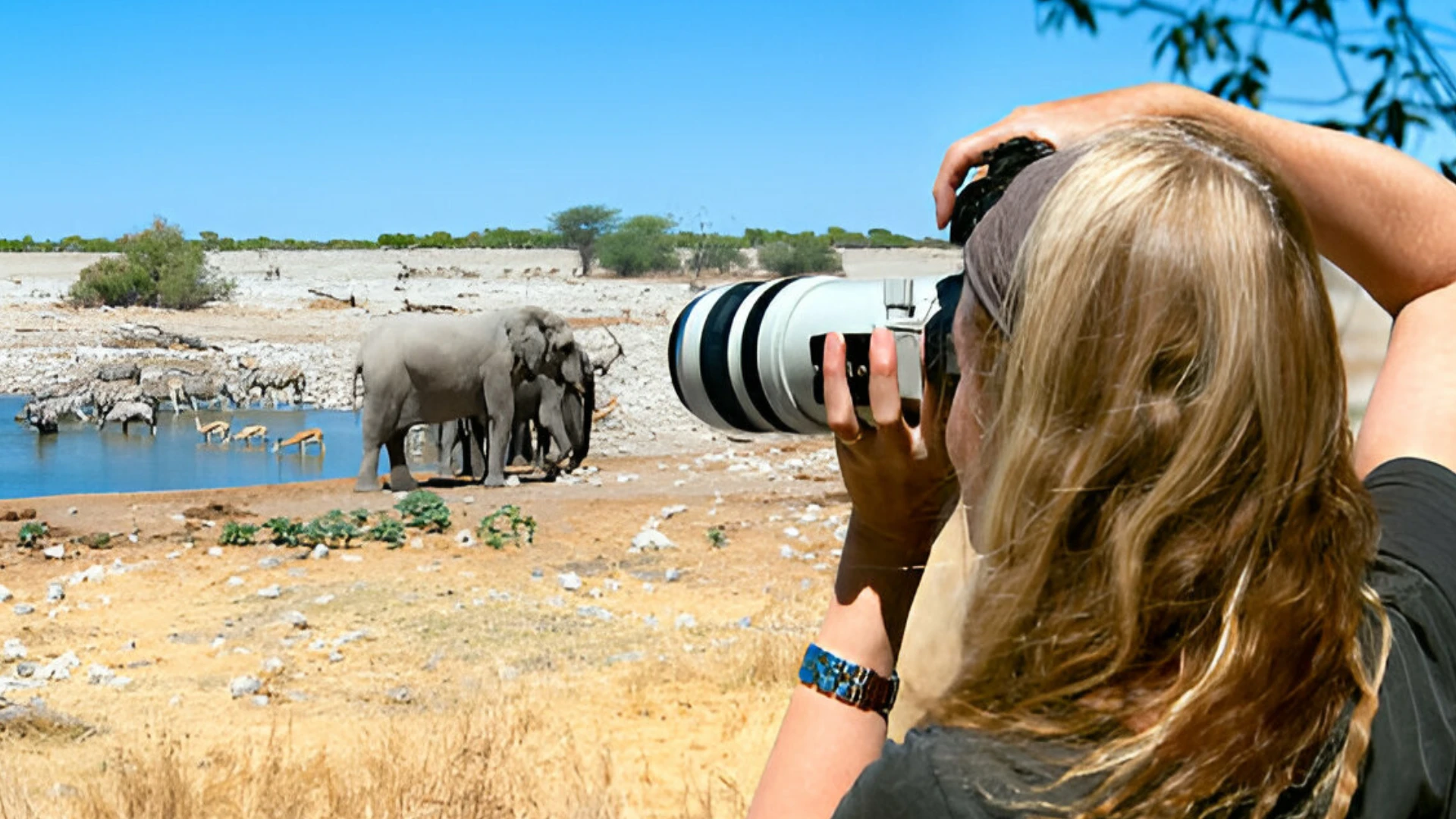 Photographic Safari