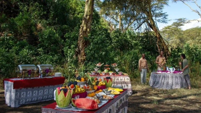 Ngorongoro Serena Safari Lodge -bush-meal