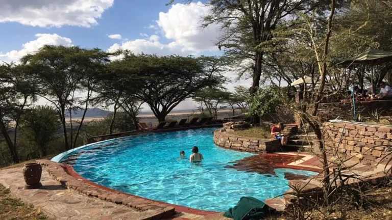 Serengeti Serena Safari Lodge-swimming-pool