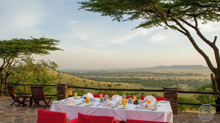 Serengeti Serena Safari Lodge-view-sun-downer