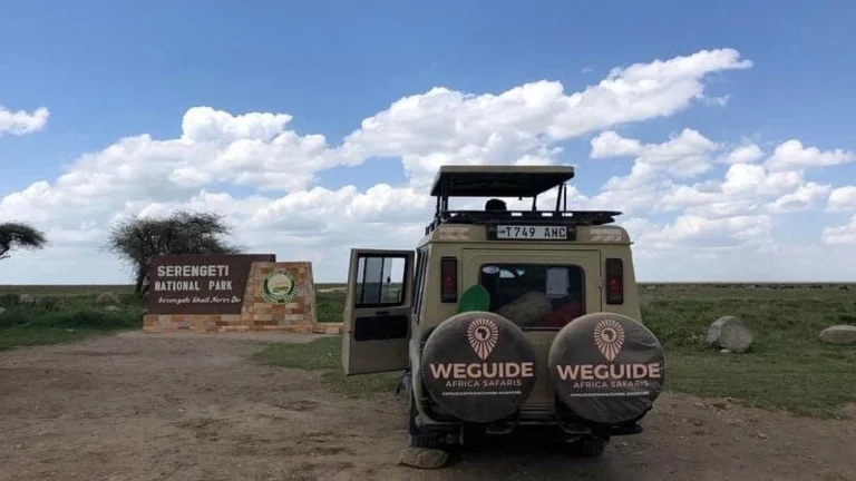 why-travel-with-us-weguide-africa-safaris