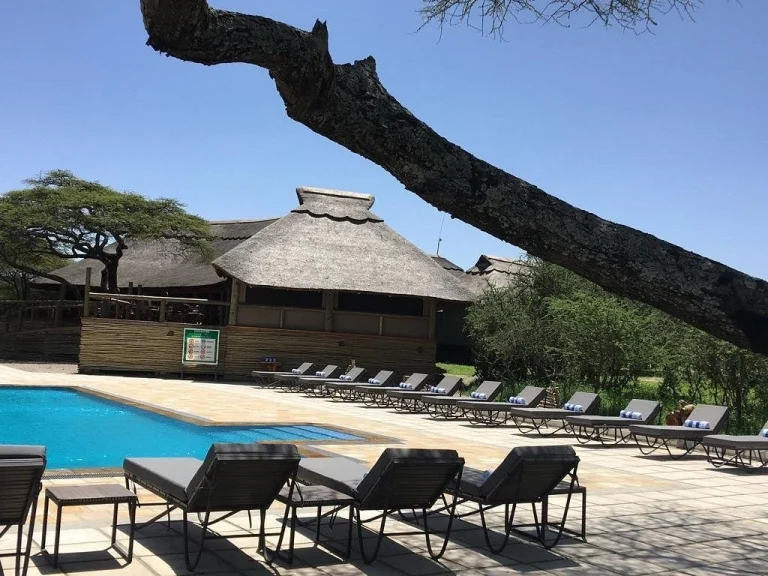 Lake Masek Tented lodge swimming pool sit out