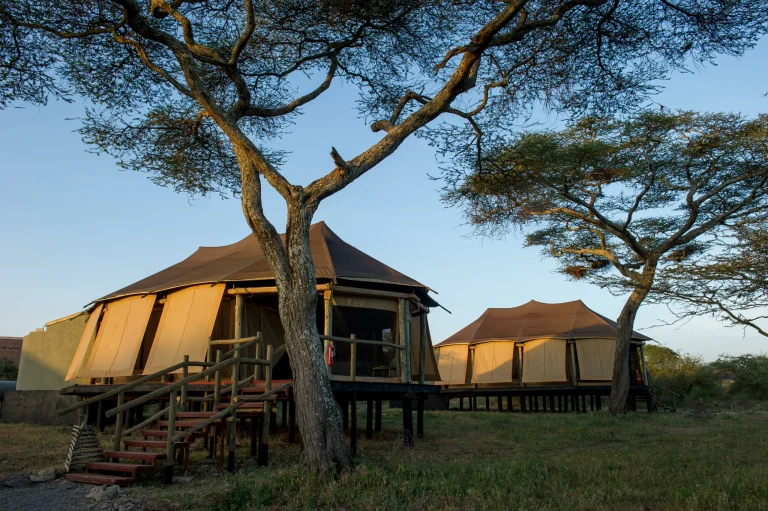 Masek-Tented-Lodge_1-scaled