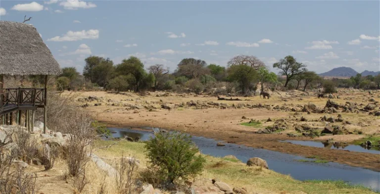 Ruaha River Lodge1