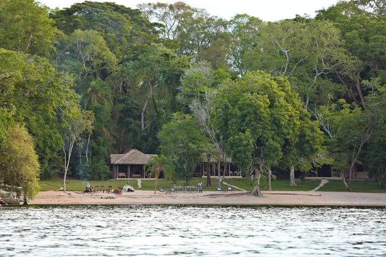 Rubondo Island Camp5