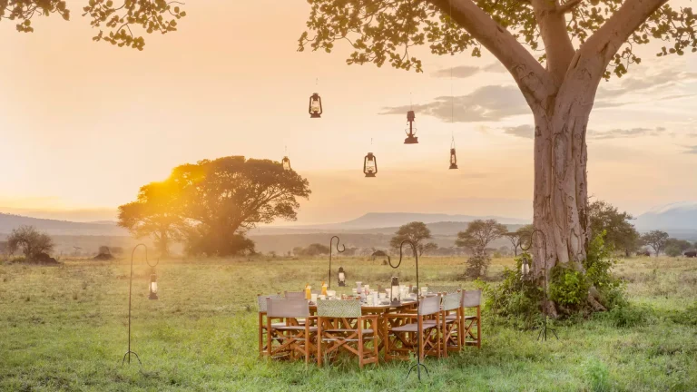 Serengeti Melia