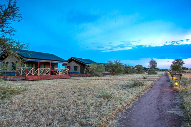 manyara safari lodge