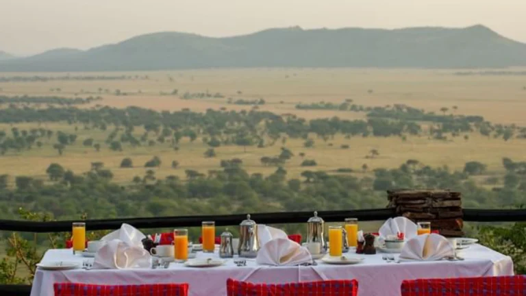 serengeti serena safari lodge3