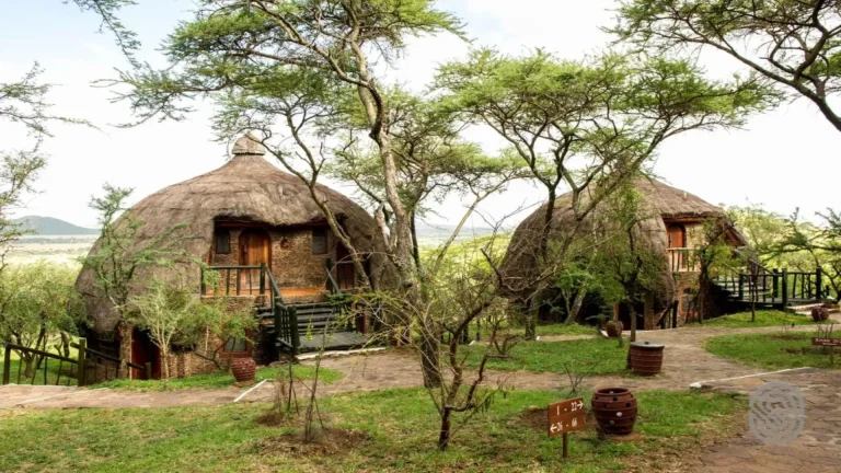 serengeti serena safari lodge9